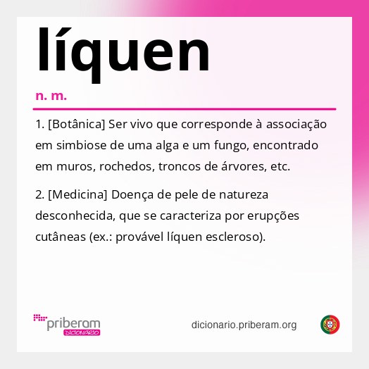 Significado de líquen