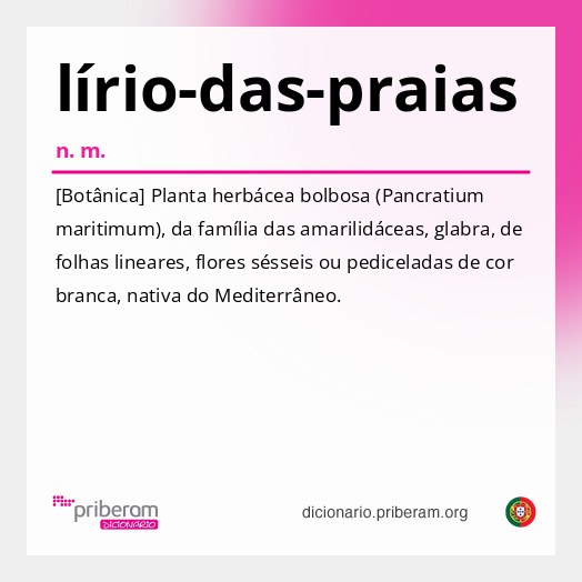 Significado de lírio-das-praias