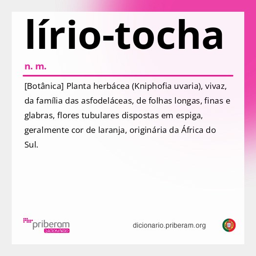 Significado de lírio-tocha