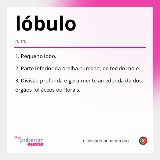 Significado de lóbulo