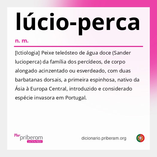 Significado de lúcio-perca