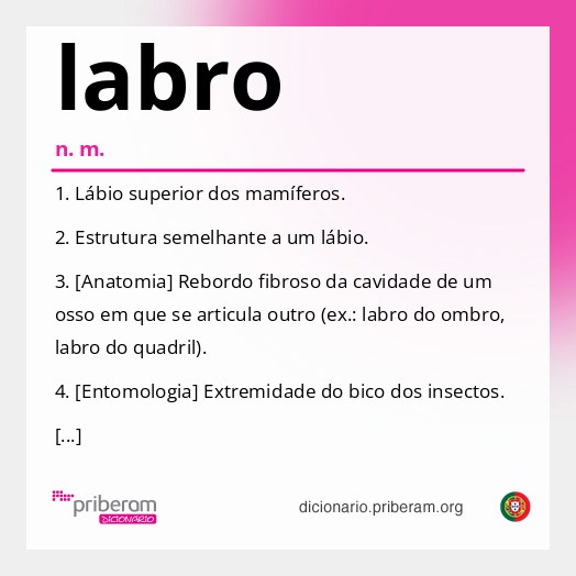 Significado de labro