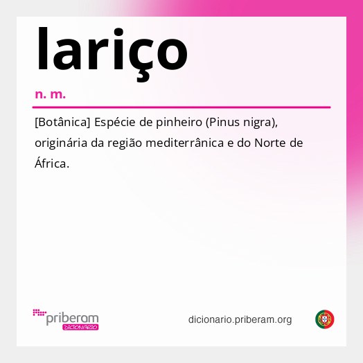 Significado de lariço