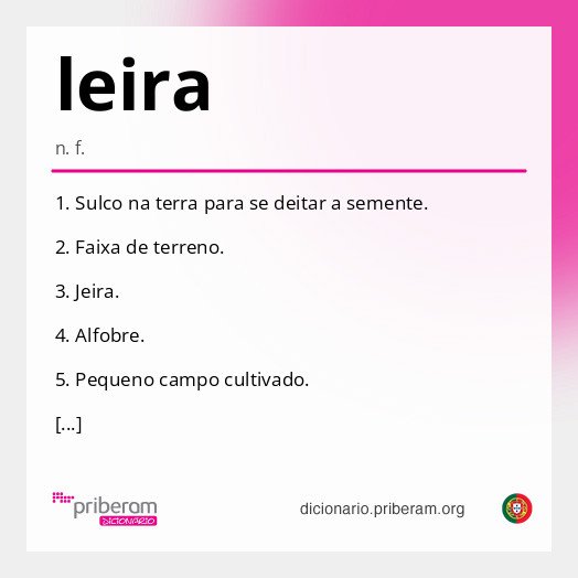 Significado de leira