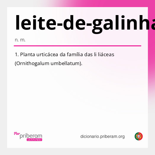 Significado de leite-de-galinha