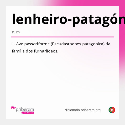 Significado de lenheiro-patagónico