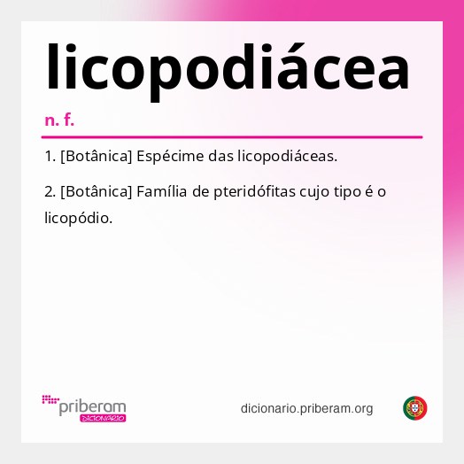Significado de licopodiácea