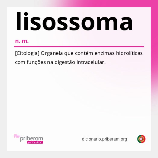 Significado de lisossoma