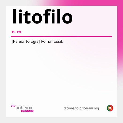 Significado de litofilo