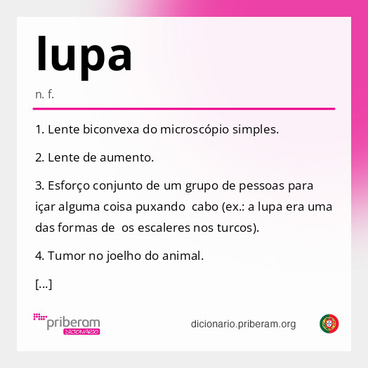 Significado de lupa