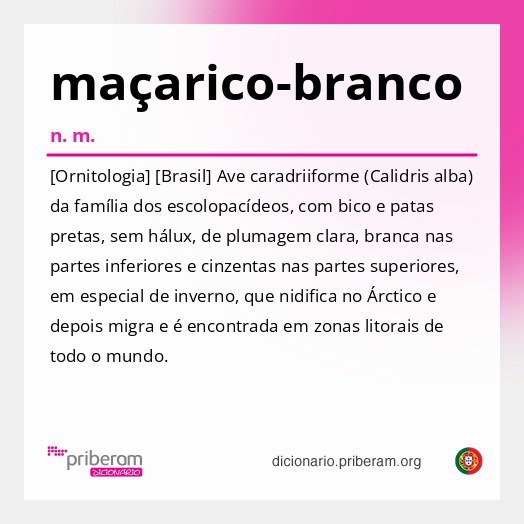 Significado de maçarico-branco