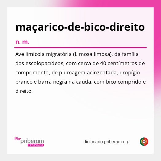 Significado de maçarico-de-bico-direito