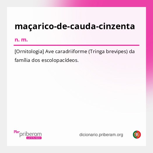 Significado de maçarico-de-cauda-cinzenta