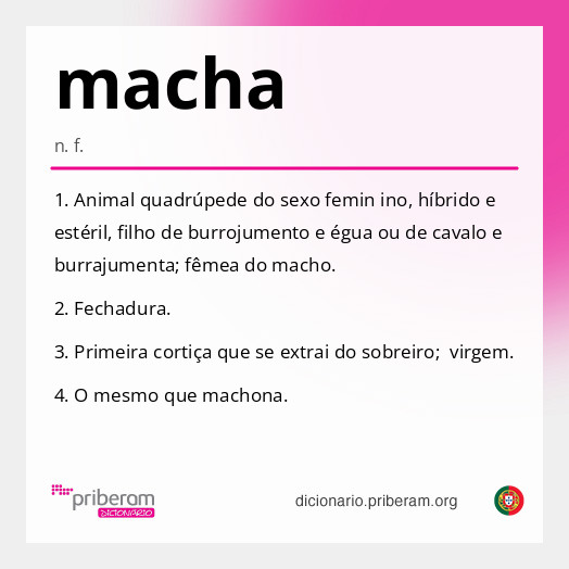 Significado de macha