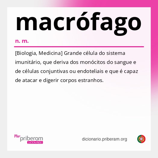 Significado de macrófago