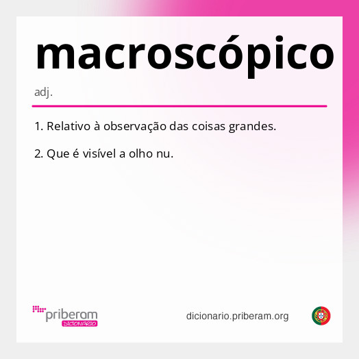 Significado de macroscópico