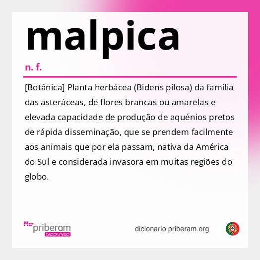Significado de malpica