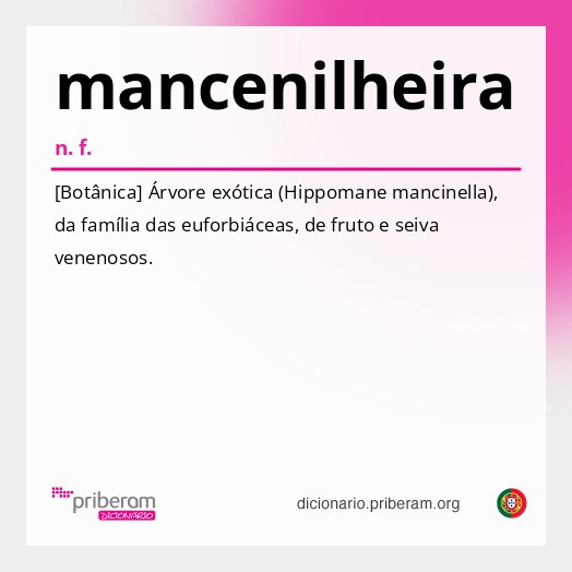 Significado de mancenilheira