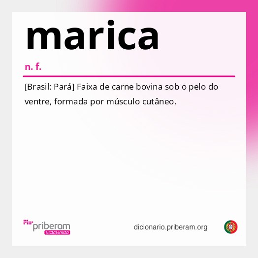 Significado de marica