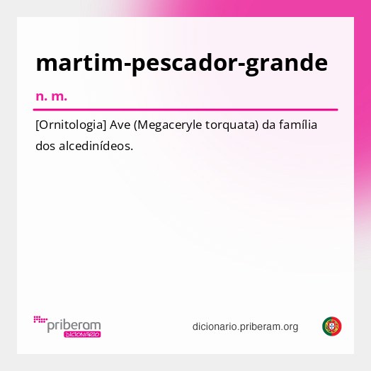 Significado de martim-pescador-grande