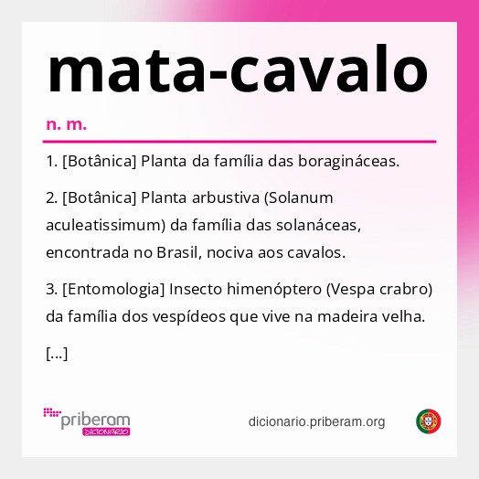 Significado de mata-cavalo