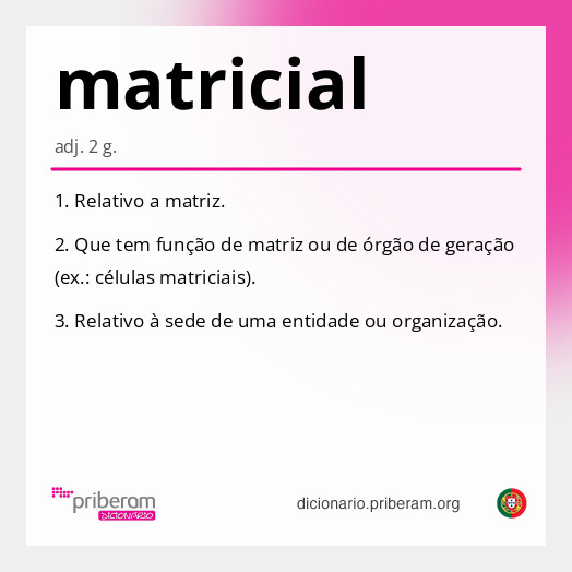 Significado de matricial