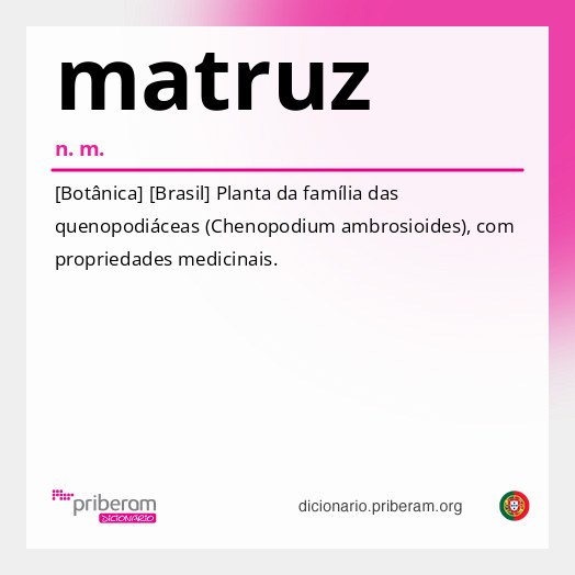 Significado de matruz