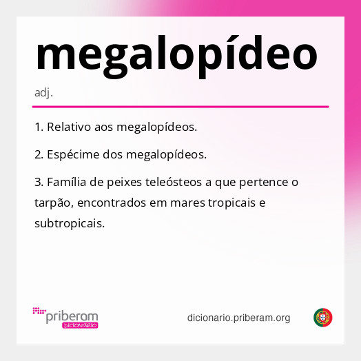 Significado de megalopídeo