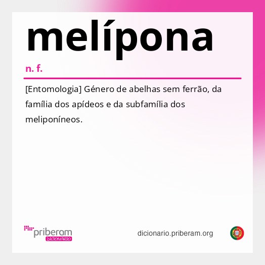 Significado de melípona