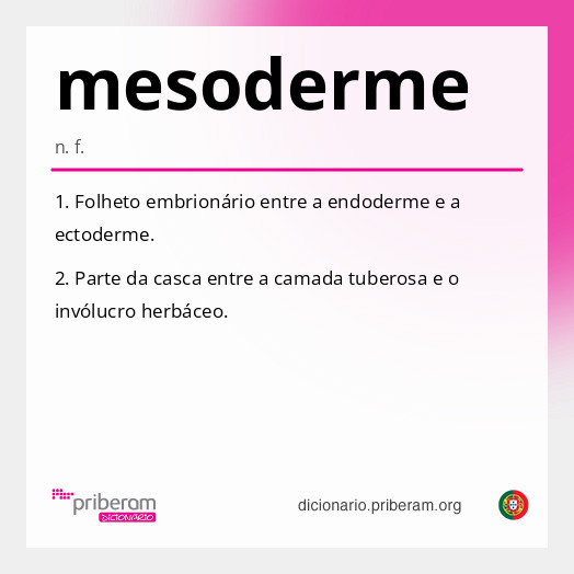 Significado de mesoderme