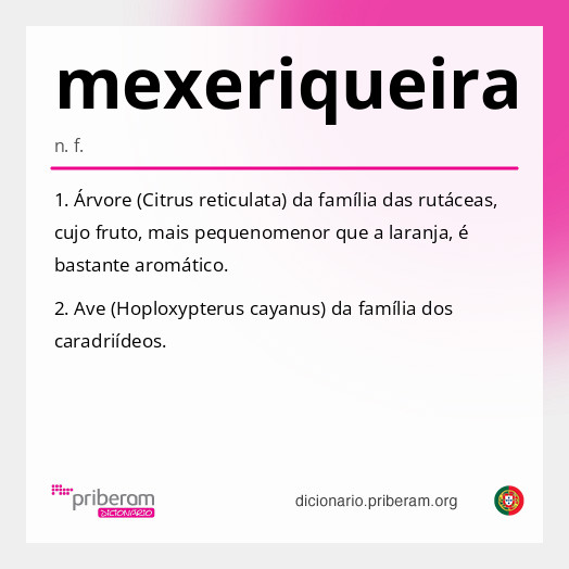 Significado de mexeriqueira