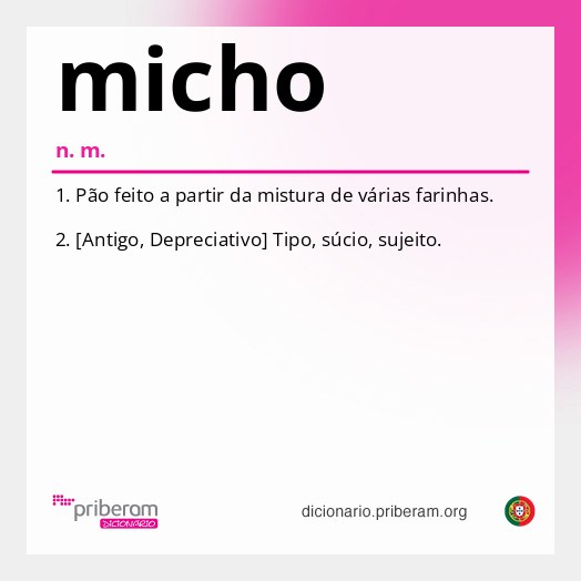 Significado de micho