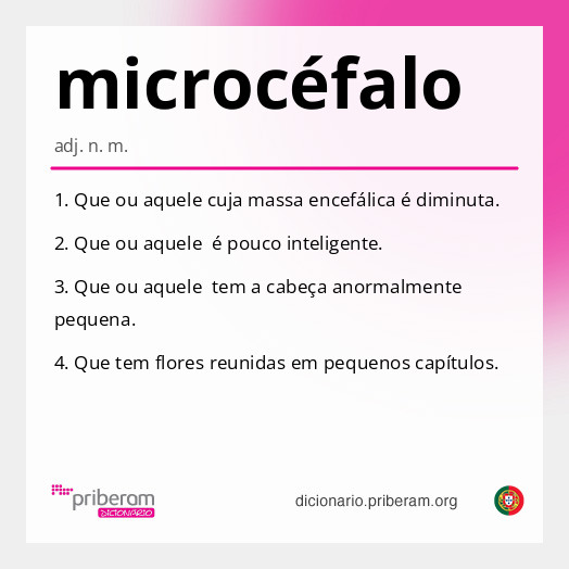 Significado de microcéfalo