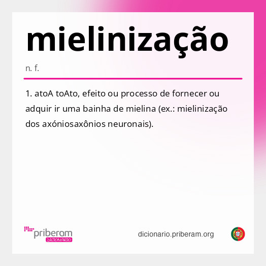 Significado de mielinização