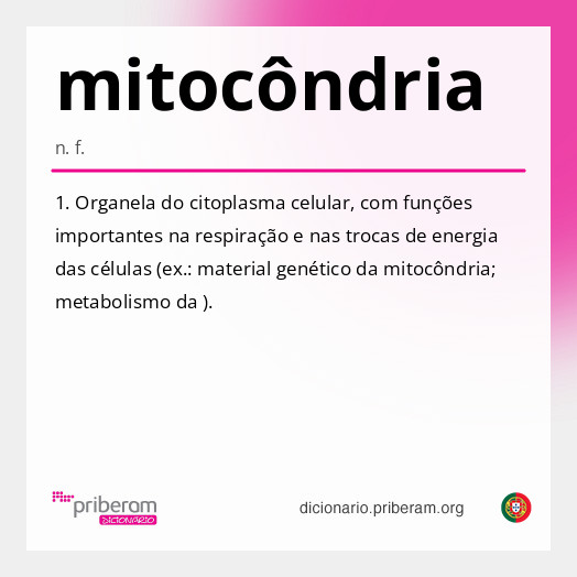 Significado de mitocôndria