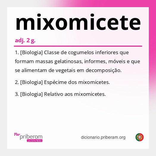 Significado de mixomicete