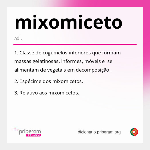 Significado de mixomiceto