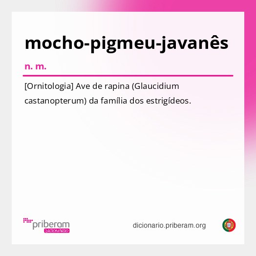 Significado de mocho-pigmeu-javanês