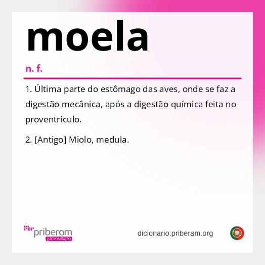 Significado de moela