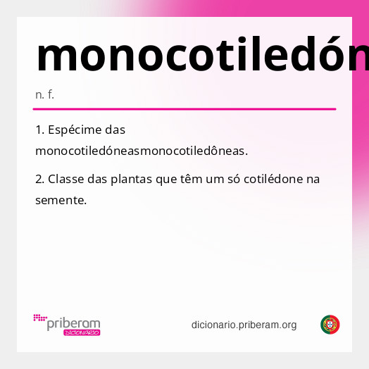 Significado de monocotiledónea