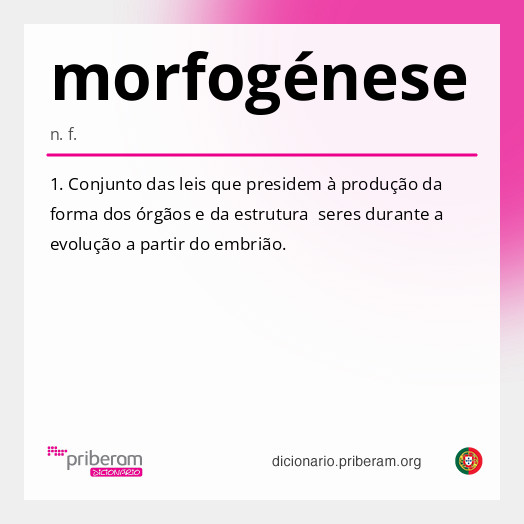 Significado de morfogénese