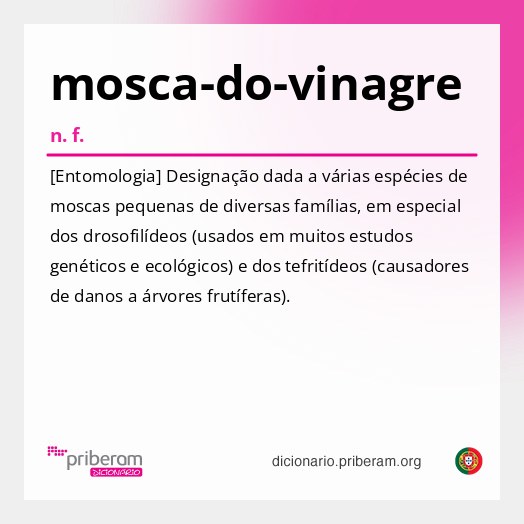 Significado de mosca-do-vinagre