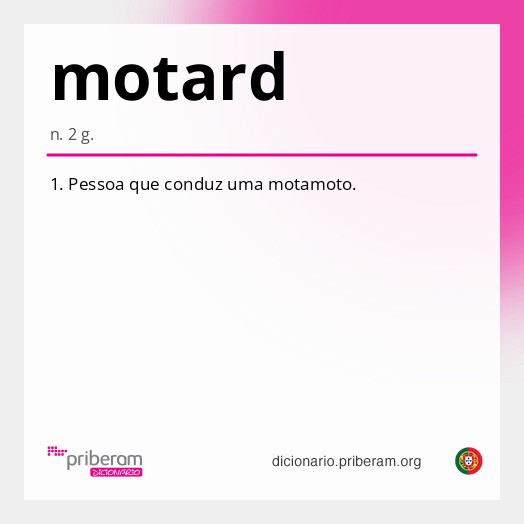 Significado de motard