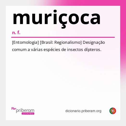 Significado de muriçoca