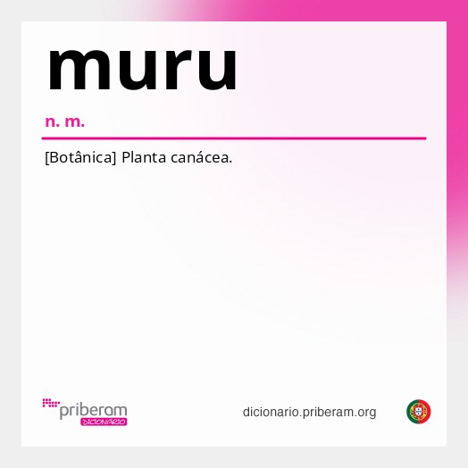 Significado de muru