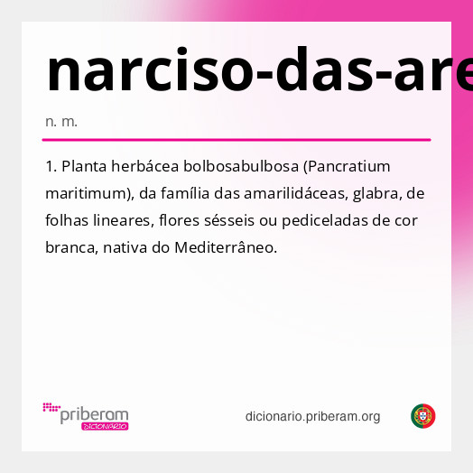 Significado de narciso-das-areias