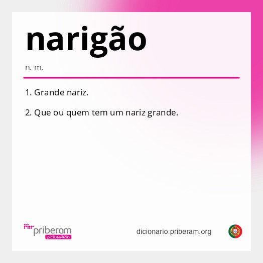 Significado de narigão