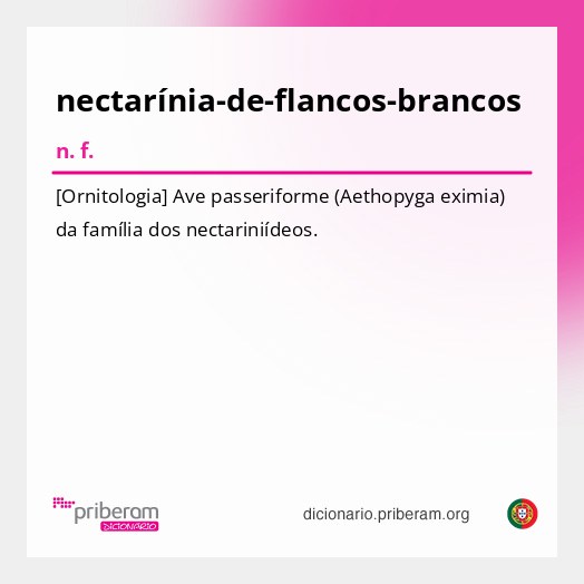 Significado de nectarínia-de-flancos-brancos