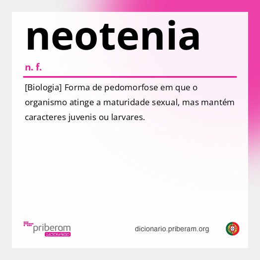Significado de neotenia