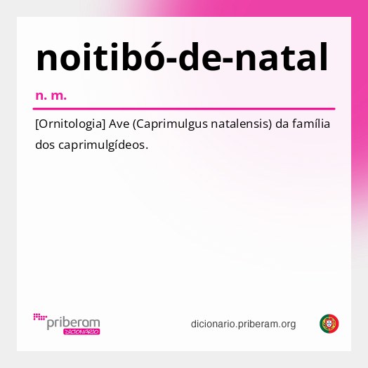 Significado de noitibó-de-natal
